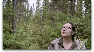 The Waswanipi Cree Call to Protect Their Last Pristine Land [upl. by Watson]