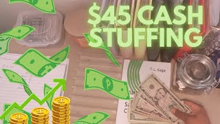 Cash Envelope Stuffing 45 [upl. by Cummins]