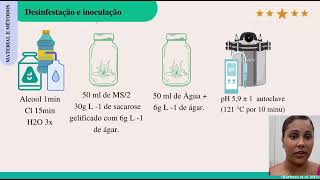 Estabelecimento in vitro de sementes de Micranthocereus purpureus e Cereus jamacaru [upl. by Ramej20]