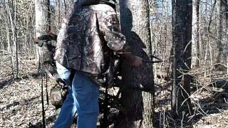 My set up and how I climb with a Treewalker Treestand along with Third Hand Archery items [upl. by Capps493]