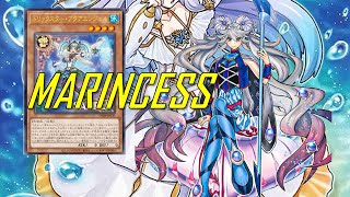 NEW MARINCESS deck May2024  Post Duelist of Brilliance [upl. by Imyaj]