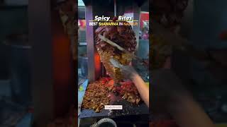 SPICY SHWARMA EXPLOSION  Nagpurs Best Shawarma at Spicy Bites [upl. by Ronyar576]