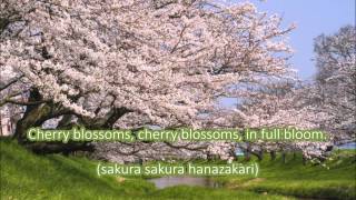 Japanese Folk Song 9 Cherry Blossoms （さくらさくらSakura Sakura） [upl. by Aihsoj200]