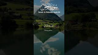 Surah ArRahman Recitation  Soothing Quranic Verses [upl. by Paugh]