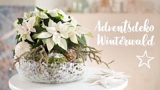 DIY Adventsdeko Winterwald mit Weihnachtssternen [upl. by Arakaj]