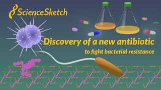 Discovery of a New Antibiotic [upl. by Gilba648]