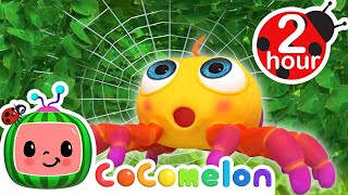 The Itsy Bitsy Spider  2 HOUR CoComelon Kids Songs amp Nursery Rhymes [upl. by Alake]