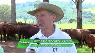 27052014  Fazenda Mariópolis SP  Ourofino em Campo [upl. by Abrams]