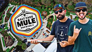 Explore the Best Mini Golf Brewery in Asheville  Salt Face Mule Brewing Company Asheville NC [upl. by Raouf202]