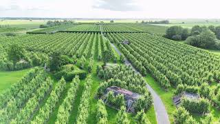 Perenboerderij Schalkwijk  Dronevideo [upl. by Nolie250]