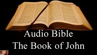 The Book of John  NIV Audio Holy Bible  High Quality and Best Speed  Book 43 [upl. by Peg]