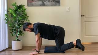 Quadruped Hip Internal amp External Rotation [upl. by Wildermuth]