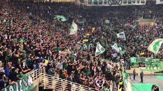 Panathinaikos x Olympiakos [upl. by Emmi]