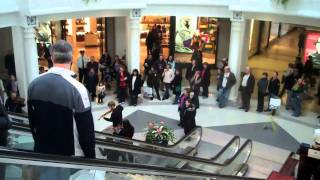 An Orchestra HitandRun at the Fashion Mall [upl. by Tat]