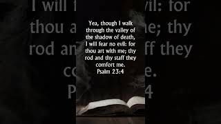 Psalm 234 KJV Audio Bible  Though I walk through the valley of the shadow of death [upl. by Annel]