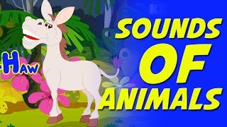 Sounds Of Animals Nursery Rhyme [upl. by Killen]