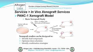 Altogen Labs PANC1 Xenograft Service Pancreatic Cancer [upl. by Munsey]