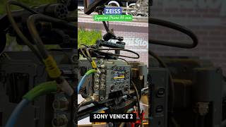 ZEISS Supreme Prime Lens With Sony Venice 2 shorts ytshorts sony zeisslens [upl. by Mecke407]