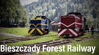 Narrow Gauge  Bieszczady Forest Railway Poland [upl. by Maillliw]