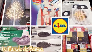 LIDL FRANCE 1211 MAISON 🏠 NOËL PARKSIDE SILVERCREST [upl. by Eelyam246]