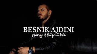 Besnik Ajdini  Harroj ditët që ti fala COVER [upl. by Sherourd]