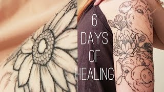 TATTOO HEALING STAGES [upl. by Godiva349]