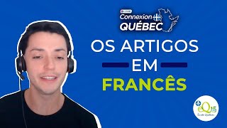 Curso iniciante de francês  Os artigos  Aula 6 [upl. by Angelle]