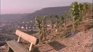 Inauguration du musée des vignes dans le domaine Schlumberger de Guebwiller [upl. by Maupin]