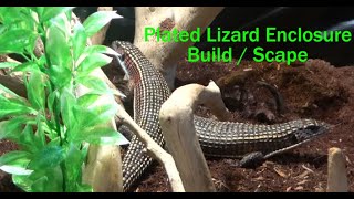 Sudan Plated Lizard Scape  Back into the swing of things  Mental Health Day [upl. by Nahtanha]