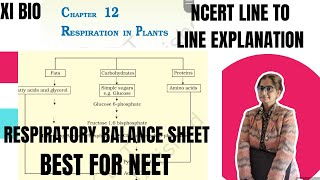 XI bio  Respiratory balance sheet amp Amphibolic pathway [upl. by Elocyn]