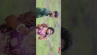 Panchami song new janapada song malu nipanal whasttap Stastu [upl. by Raffo]