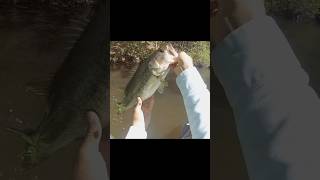 Kayak Fishing in Georgia 🎣 bassfishing largemouthbassin fishing largemouthnation sportfishing [upl. by Dlanod287]