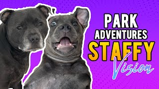 English Staffies POV Dog Park Adventures [upl. by Notsrik]