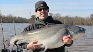 Monster Blue Catfish Trip 356 lbs of catfish in 8 hrs [upl. by Marya820]