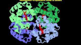 oligomeric proteins [upl. by Mcclary]