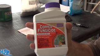 ⟹ Copper fungicide  Bonide  Product overview [upl. by Atinav245]