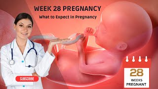 28 Weeks Pregnant  Week by Week Pregnancy What to Expect [upl. by Nostrebor408]