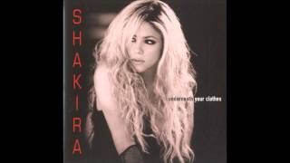 Shakira  Underneath Your Clothes Karaoke  Instrumental with lyrics [upl. by Atworth]