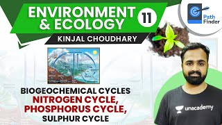 L11 Biogeochemical Nitrogen Phosphorous amp Sulphur Cycle  UPSC CSEIAS 2021  Kinjal Choudhary [upl. by Loftis]