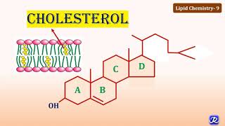 9 Cholesterol Structure amp Functions  Lipid Chemistry9  Biochemistry  NJOY Biochemistry [upl. by Grazia]