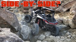 Polaris RZR VS CanAm X3 VS Jeep Wrangler JLU Rubicon [upl. by Ebenezer]