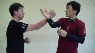 Jun Fan  Jeet Kune Do Trapping Skills [upl. by Courtland]