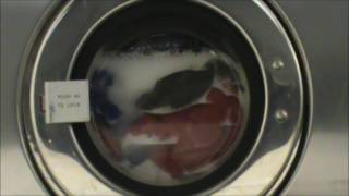 Hey Watch My Laundry  Episode 170 [upl. by Acirretal]