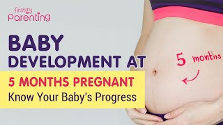 5 Month Pregnant  Know the Baby Development [upl. by Jakoba]