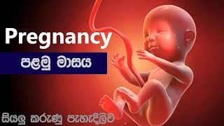 ❤ පළමු සති 4  1st month of pregnancy  1  4 week  in sinhala  palamu masaya [upl. by Yelsew]