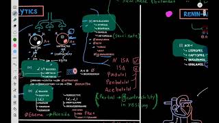 Therapeutics Hypertension 3 beta blockers [upl. by Anelav149]