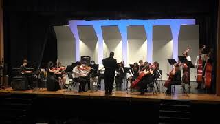 Zampa Overture  2022 Spring Concert  RHS String Orchestra [upl. by Frantz]