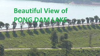 Maharana Pratap Sagar PONG DAM Scenic views HP Talwara [upl. by Aver516]