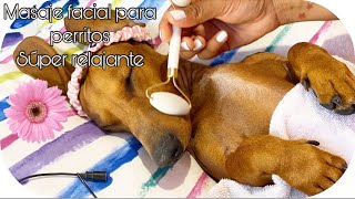 ASMR 🐶💤 SPA PARA PERROS  MASCARILLA 24k Y RODILLO FACIAL  SÚPER RELAJANTE [upl. by Tabbitha]