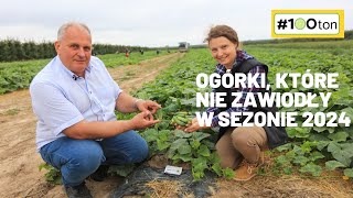 Ogórki które nie zawiodły w sezonie 2024 100 ton [upl. by Idur]